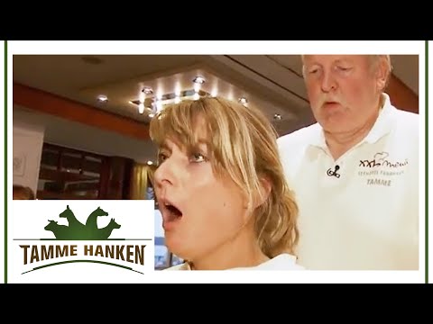 Youtube: Tamme lässt´s krachen | Tamme Hanken | Kabel Eins