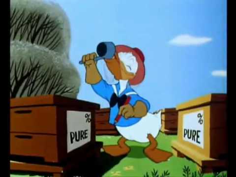 Youtube: Donald Duck - Der Honigdieb (German)