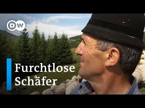 Youtube: Rumänien: Furchtlose Schäfer | Europa aktuell