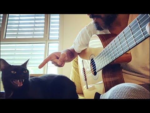 Youtube: Cat Singing Folk