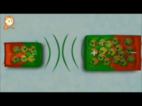 Youtube: Löwenzahn - 249 - Magnete -- Im Zauber der magischen Kraft