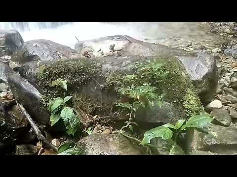 Youtube: WATERFALL OF PANAMA CHIRIQUI BOQUETE