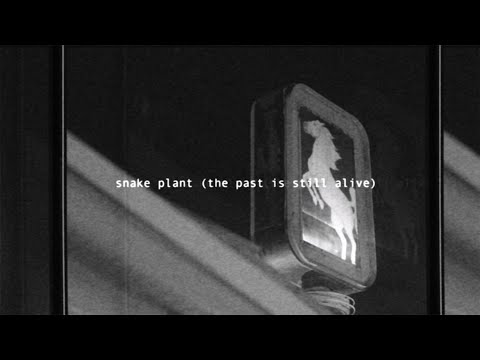Youtube: Hurray for the Riff Raff - Snake Plant (The Past Is Still Alive) (Official Lyric Video)