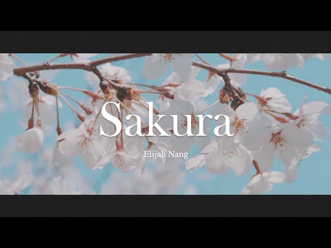 Youtube: Elijah Nang - Sakura 桜.