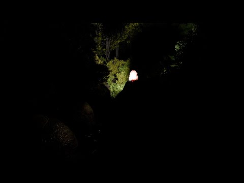 Youtube: Update on Night location