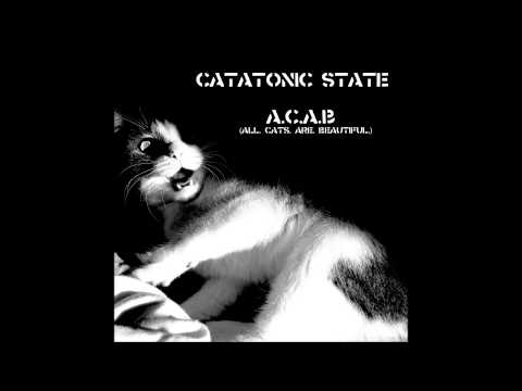 Youtube: Catatonic State - ACAB (All Cats Are Beautiful) [full album]