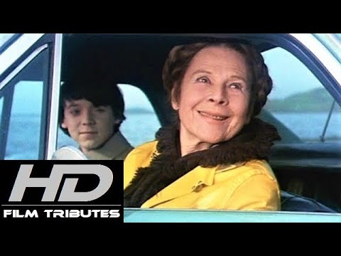 Youtube: Harold and Maude • If You Want to Sing Out, Sing Out • Cat Stevens