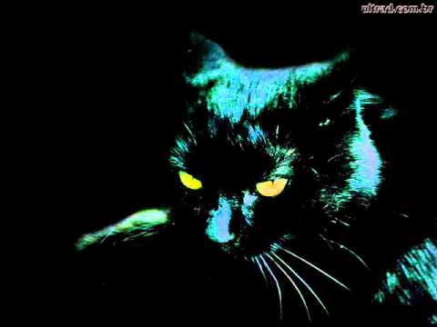 Youtube: The Black Cat - Lothlórien