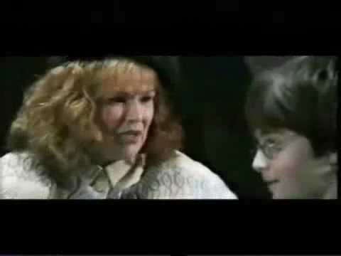 Youtube: Harry Potter und ein Stein - Tim & Struppi & Vagina