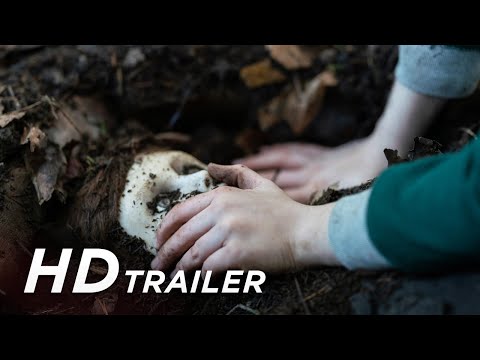 Youtube: BRAHMS: THE BOY II Trailer (Deutsch)
