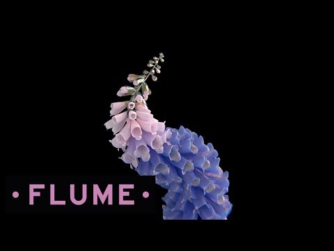 Youtube: Flume - Like Water feat. MNDR