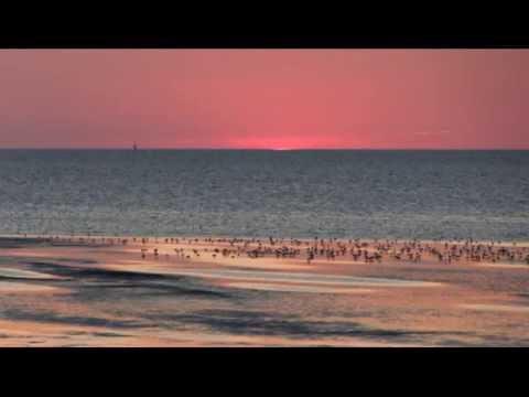 Youtube: Cuxhaven - Watt, Strand, Sonnenuntergang (Duhnen 3.9.2014)