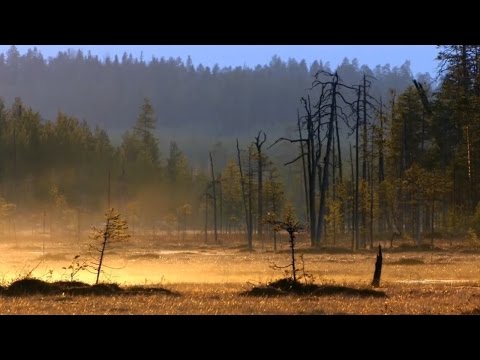 Youtube: Finland's Nature in Autumn & Finnish Folk Song "Röntyskät" (Kardemimmit)