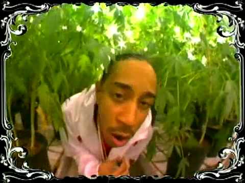 Youtube: Ludacris - Blueberry Yum Yum (Smoke Weed Everyday)