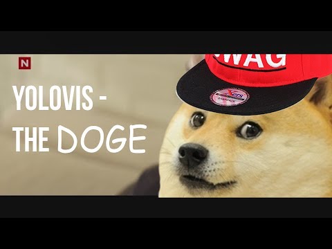 Youtube: Yolovis - The Doge (Ylvis - The Fox (What Does the Fox Say?) Parody)