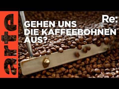 Youtube: Kaffee mit Zukunft | ARTE Re: