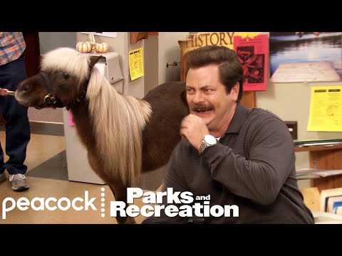 Youtube: Ron Loves Lil' Sebastian | Parks and Recreation