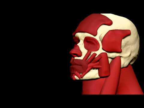 Youtube: Damon Albarn - Everyday Robots (Official Video)