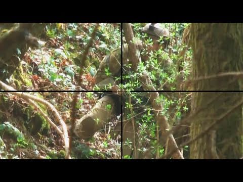 Youtube: N°3 Sniper Airsoft Scope cam bolt 450fps VaVAnN