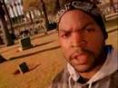 Youtube: Ice Cube - Today Was a Good day & Check Yo' Self (Part 1 & 2)
