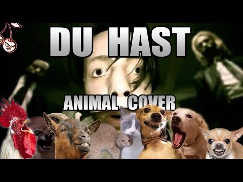 Youtube: Rammstein - Du Hast (Animal Cover)