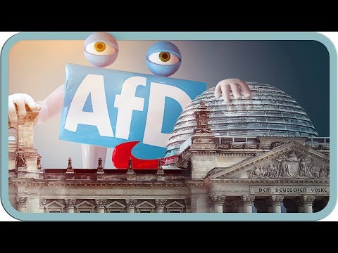 Youtube: Was die AfD bisher im Bundestag geleistet hat