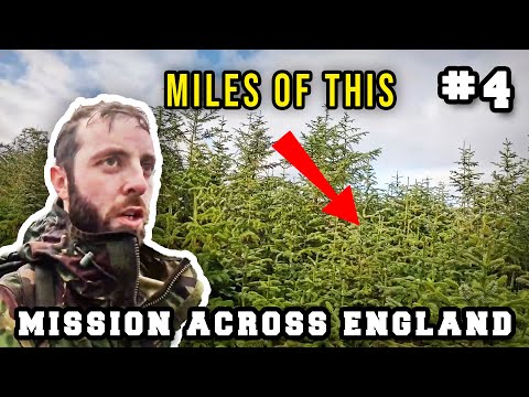 Youtube: Will I make it through this infuriatingly dense forest before dark? [ENGLAND PART 4]