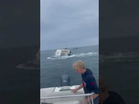 Youtube: Whale nearly CAPSIZES boat!!!