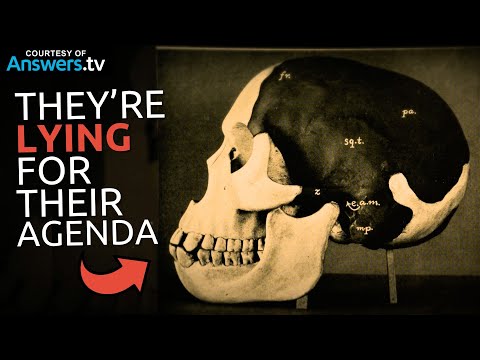 Youtube: Exposing the Absurd LACK of Scientific Evidence for Evolution