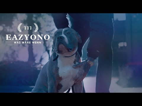 Youtube: EAZYONO - Was Wäre Wenn (prod. by Southadelics)