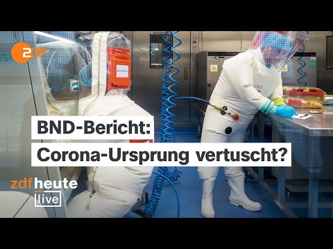 Youtube: Corona-Virus aus Labor in China? BND-Bericht wohl von Kanzleramt zurückgehalten | ZDFheute live