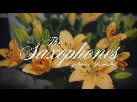 Youtube: The Saxophones - Mysteries Revealed [Official Video]