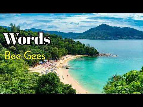 Youtube: Words - Bee Gees lyrics