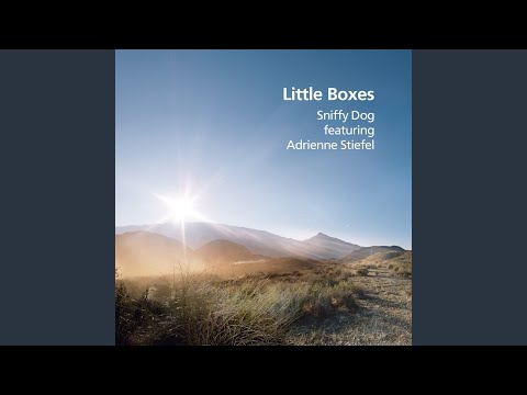 Youtube: Little Boxes (feat. Adrienne Stiefel)