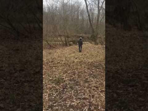 Youtube: Vid #3 Delphi Murders: Retracing Libby and Abby's step Monon High Bridge-Down by creek