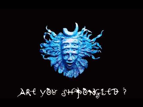 Youtube: Shpongle - Are You Shpongled? - Shpongle Falls