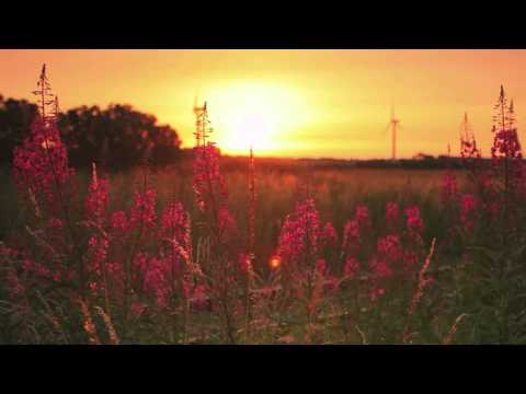 Youtube: KYUSS - Gardenia