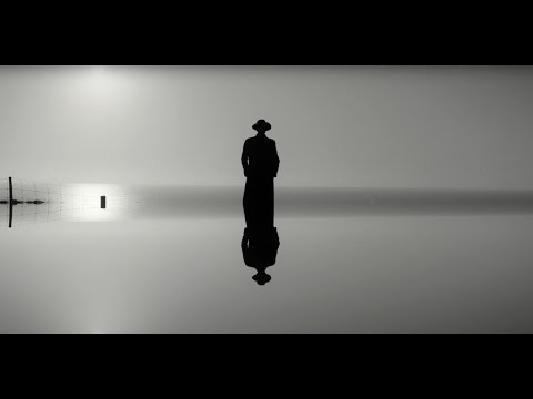 Youtube: The Veils - The Ladder [Official 4K Video]