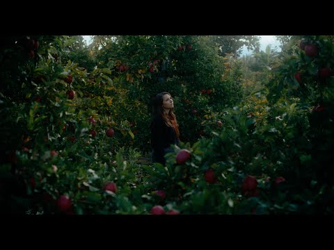 Youtube: Tess Liautaud - Here Go the Lovers (Official Music Video)
