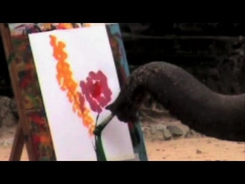 Youtube: Pinsel im Rüssel: Tierische Kunst in London