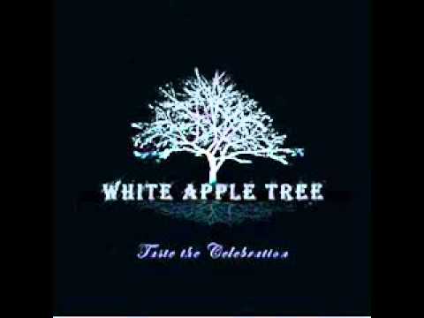 Youtube: White Apple Tree - Snowflakes