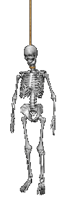 skelett-9