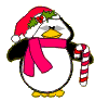 pinguin 0006