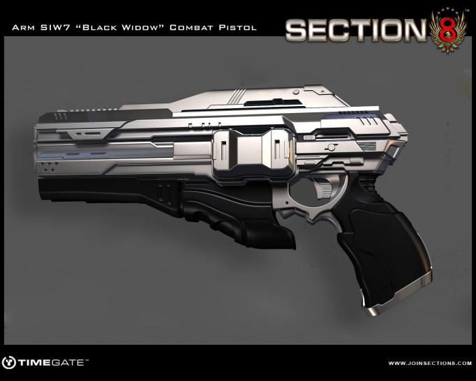 section 8 weapons 00111